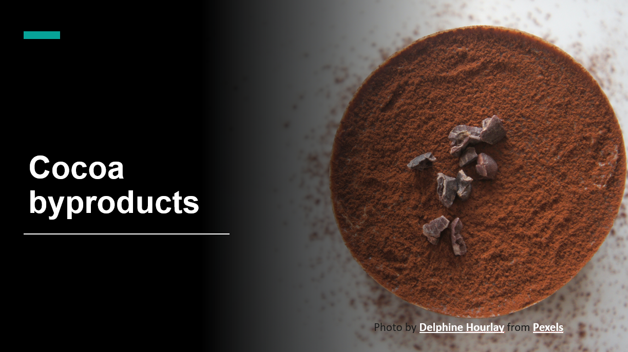 List of cocoa byproducts and their utilization FoodTech Pathshala