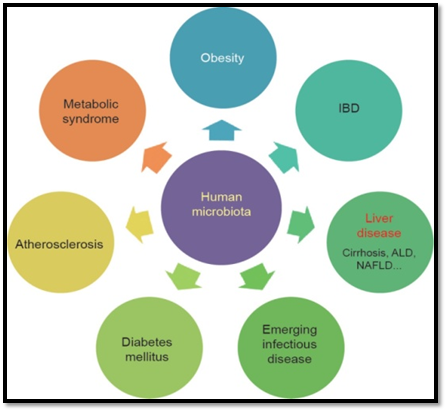 Listen To Your Gut Microbiome! - FoodTech Pathshala