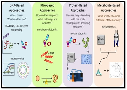 foodtechpathshala, microbiome