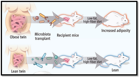 foodtechpathshala, microbiome