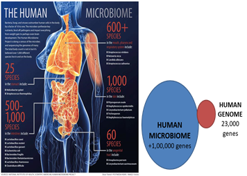 foodtechpathshala, microbiome